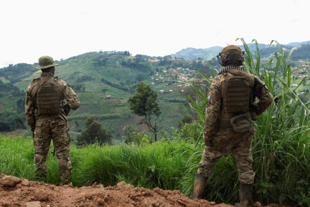 FARDC